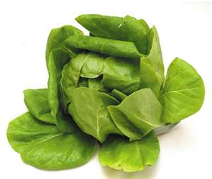 Boston Lettuce Salad with Cream Dressing from Jacques Pepin