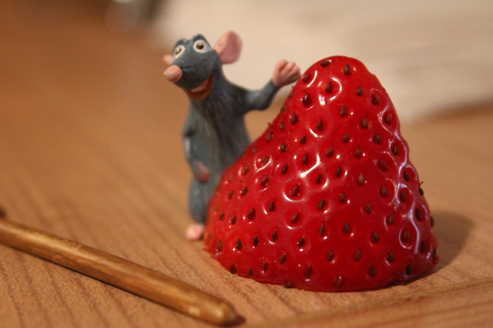 On Photos and Rats and Strawberries: How to Shoot Your Food