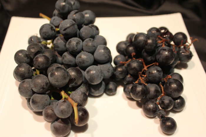 Buffalo Grapes from Cornell University