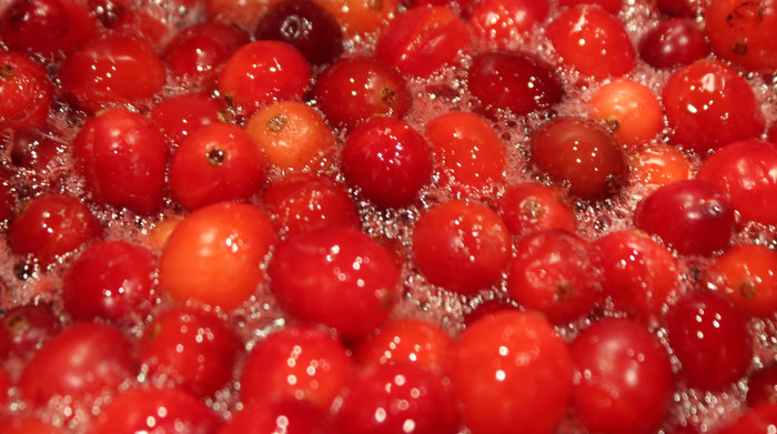 Spiced Cranberry Orange Compote