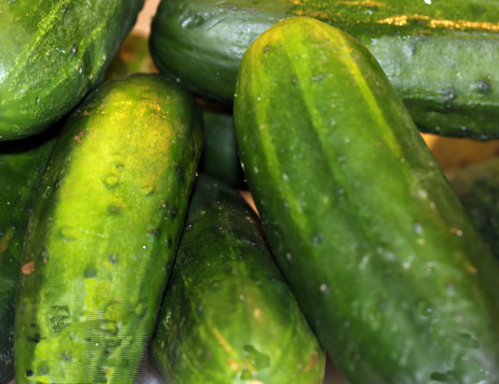 Cucumber Sauce from Northwest Bounty