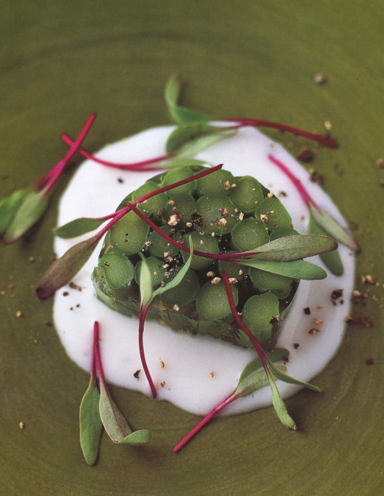 wc-Terrine-of-Pencil-Green-Asparagus-with-Goat-Cheese-Puree