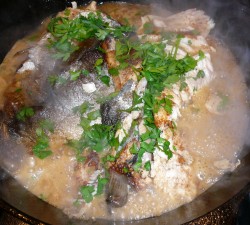 Trout in Wine Sauce