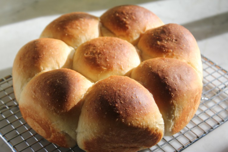 Best Dinner Rolls For Thanksgiving White Bread 101 Cooking By The Book