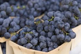 concord grape grapes syrup recipes brian sep comments