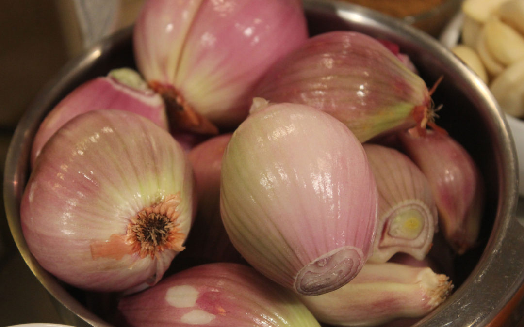 Pickled Shallots for Spring from A Boat A Whale & A Walrus by Renee Erikson