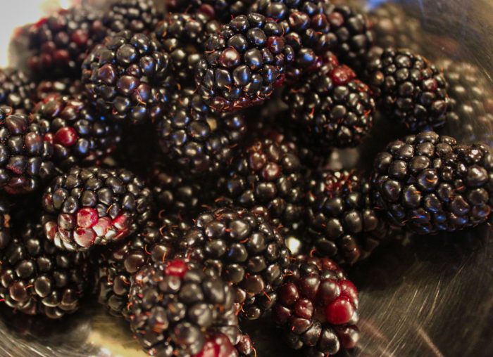 Blackberry Compote from The Soda Fountain