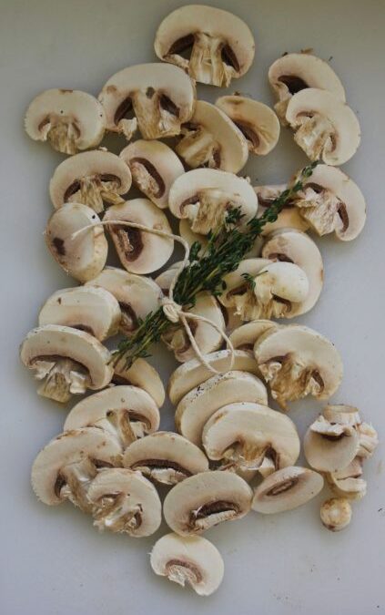 Mushroom Ragu for Pasta or Chicken from The Art of Simple Food