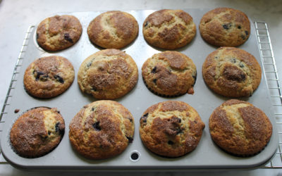 Blueberry Muffins with Surprises