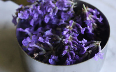 Homemade Lavender Syrup